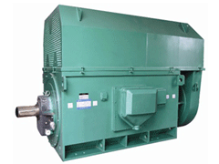 尼玛Y系列6KV高压电机
